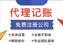 工商财税|注册公司 代理记账 公司变更 执照注册记账