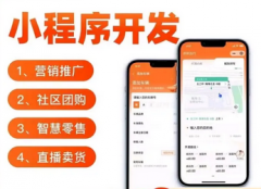 网站建设 小程序 公众号开发