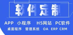 软件定制开发 APP 小程序 网站建设