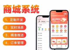 小程序 商城开发 网站定制