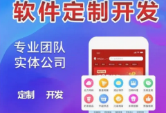 抖音小程序开发，APP开发，网站设计开发，系统软硬件，物联网