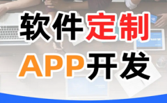 软件开发+APP开发+小程序定制+系统定制+物联网开发+各种