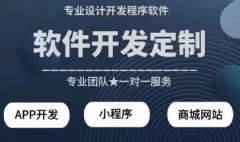 app开发 H5商城小程序开发 网站搭建系统制作定制设计